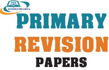 PRIMARY REVISION PAPERS